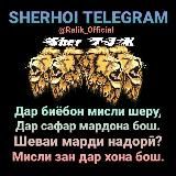 Sherhoi Telegram🦁