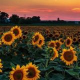 Gᴏᴏᴅ ᴠɪʙᴇS🎭