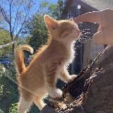 !¡фикбукнутые.💥¡!