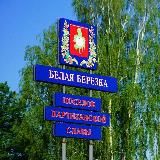 БЕЛАЯ БЕРЕЗКА ᅠ