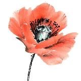 Японская живопись с Александрой Васильевой