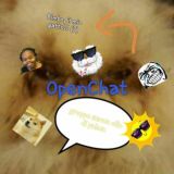 {TA} {SAT} Open Chat
