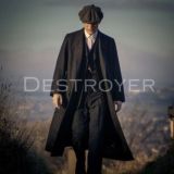 The Cricket Destroyer ™