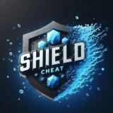 Shield Feedback