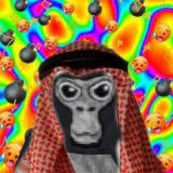 Singularity DAO