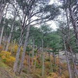 ⛰️Походы Севастополь🌲Чат
