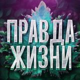 Правда жизни💡