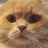 Марсель печатает...