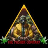 🇮🇹🥷🏽🍁THE PUSHER COMPANY 🍁🥷🏽🇮🇹