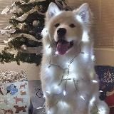 •┈┈┈••Mask Factory••┈┈┈•