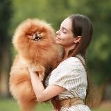 Питомник шпицев @Anna_fike