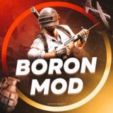 BORON_MOD_PRIVAT