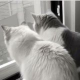 ˚₊‧꒷ 𝘮𝘪𝘹𝘴𝘰𝘶 ꒥꒷‧₊˚