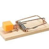 Бесплатный сыр