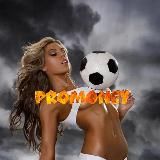 PROMONEY BOT