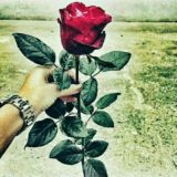 🍃🌿BeG'uBor/•Do'SLaR🌿🍃