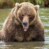 Геннадий Юсин фотоистории