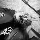 треки из тик тока