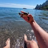 А ты знал ⁉️