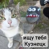 Ищу тебя, Кузнецк 🎄.