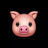 Асхаб Тамаев 🚀