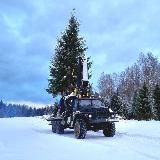 Сервис БиС питомник деревьев