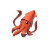 SQUID STORE 🦑