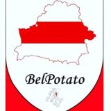 BelPotato _ Беларусь. Новости. 🤍❤️🤍