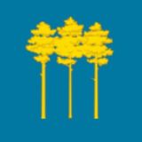 Новости Димитровграда