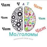 Чат мозголомов