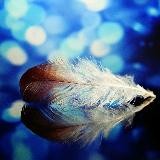 Interessant, News und Unterhaltung