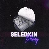 Seledkin Money💰