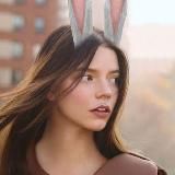 Искусство Кино-Кролика🎬 🐰