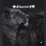 🤍🕊𝕬𝖒𝖔𝖗 𝖋𝖆𝖙𝖎🕊🤍