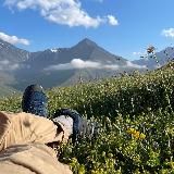 Машины из Японии и Кореи