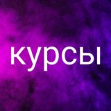 Курсы блогеров