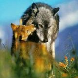 Werewolf - The Furry NSFW Game