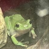 ₊⊹𝐫𝐢𝐛𝐛𝐢𝐭𝐢𝐧𝐠𝐟𝐢𝐧𝐝𝐬.𝐜𝐨⊹₊