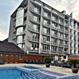 Адлер-фламинго