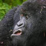 НЕХВАТКА СМЕХА👾🤖