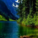 Ko'ngildagi gap... Chat