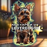 Аватарки от loverdogsy
