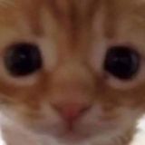 åфигенный чат