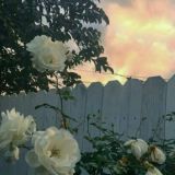 🤍drawing school 🤍