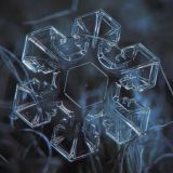 Tipicalorg|Заметки