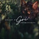 Group Of Introverts