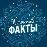 Интересные факты