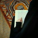 حنان محمود لاشين