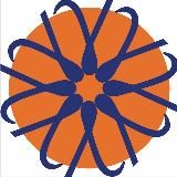 Гаммы доктора Смолярчука