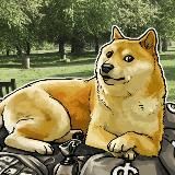 Doge|Сиба